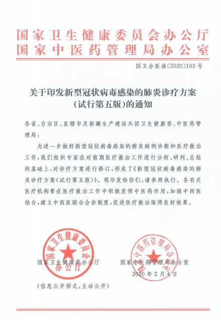 第五号.png