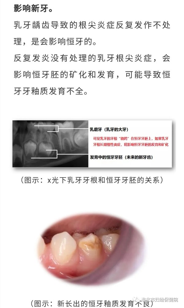 4.webp (1).jpg