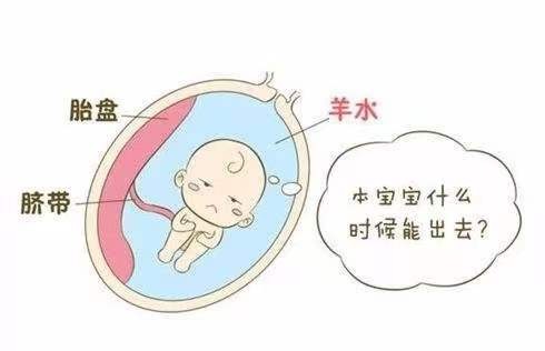微信图片_202204011541431.jpg