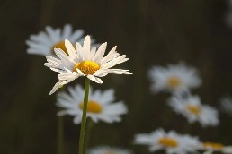 640.jpg