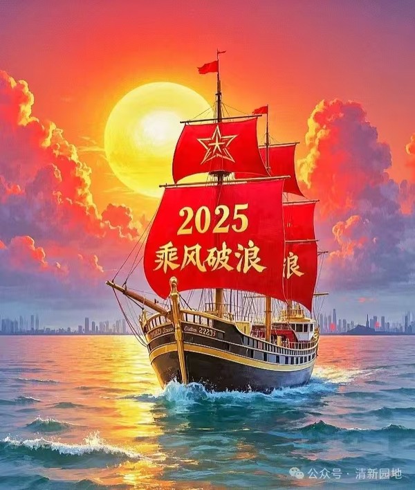 mmexport1735524672830.jpg